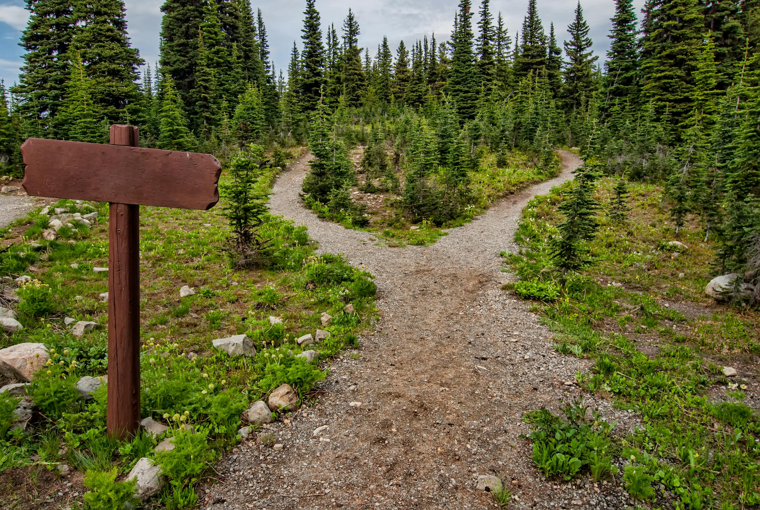 Two roads diverging in different directions - hypnotherapy vs cold turkey quit smoking Melbourne