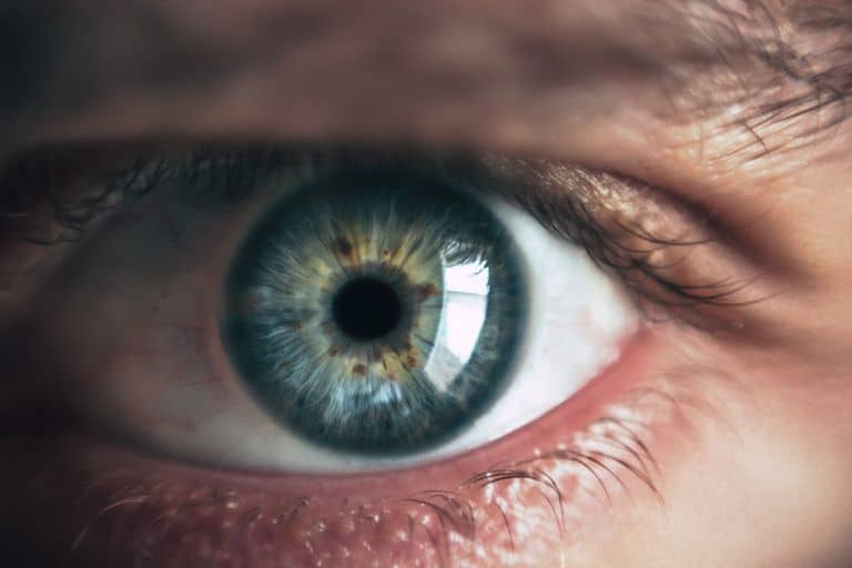 Smoking and Vision Loss Australia: 3 Shocking Facts About Blindness Risk Most Smokers Don't Know 6 smoking and vision loss Australia AMD risk
